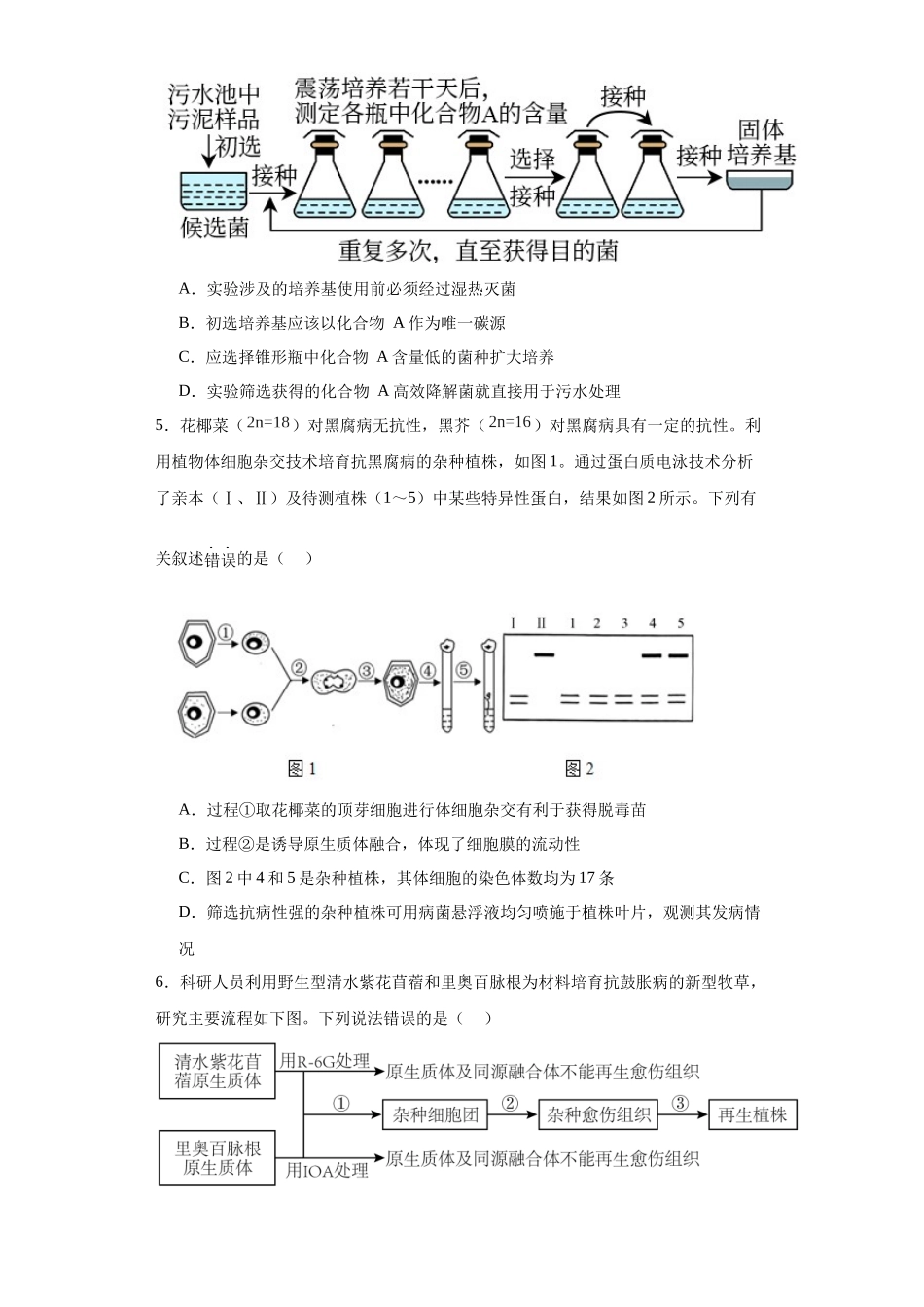 第十单元 生物技术与工程(测试卷)(原卷版).docx_第2页