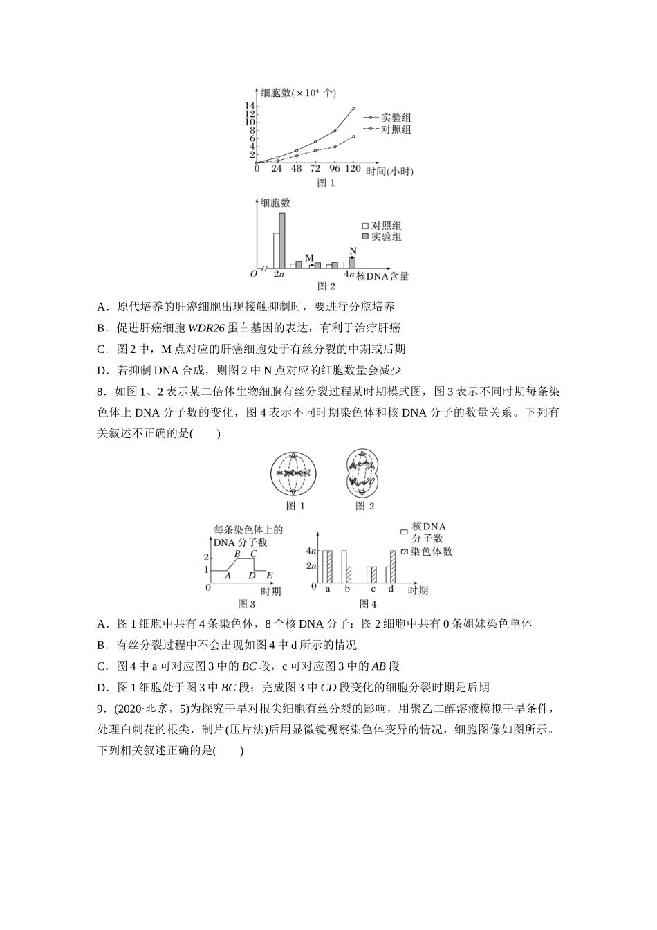 第四单元  课时练20  有丝分裂过程中相关变化及观察实验.docx_第3页
