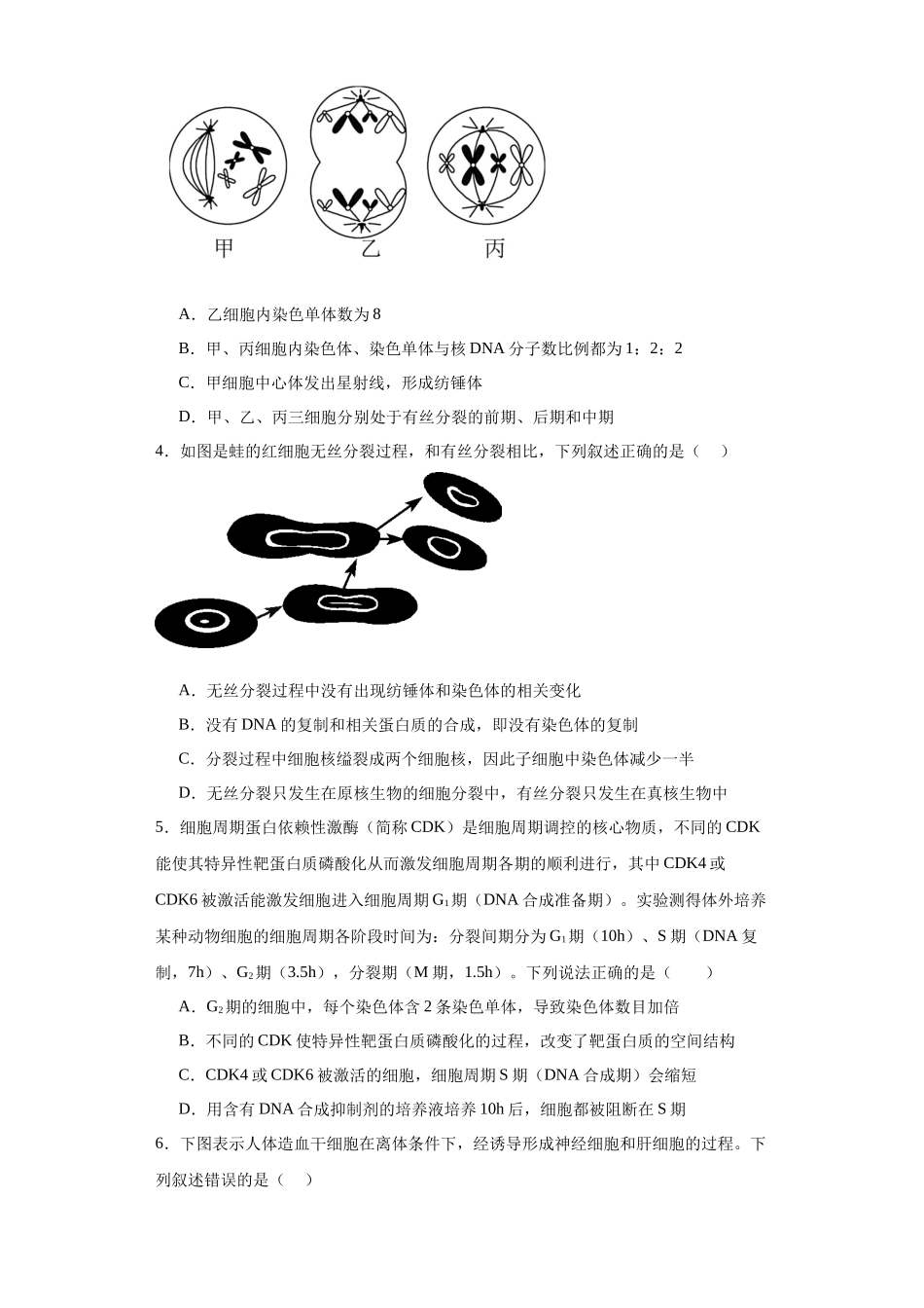 第四单元 细胞的生命历程(测试卷)(原卷版).docx_第2页