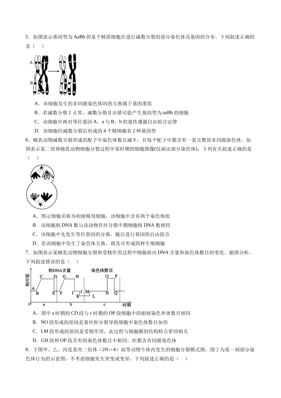 第四单元 细胞的生命历程（综合训练）（福建专用）（学生版）.docx_第2页