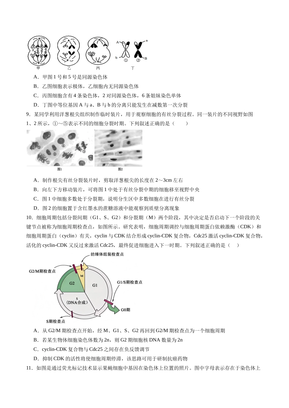 第四单元 细胞的生命历程（综合训练）（福建专用）（学生版）.docx_第3页