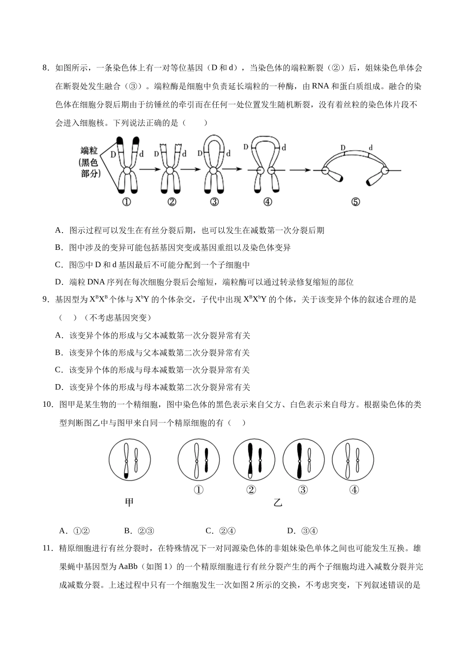 第四单元 细胞的生命历程(综合训练)(黑吉辽蒙专用)(学生版).docx_第3页
