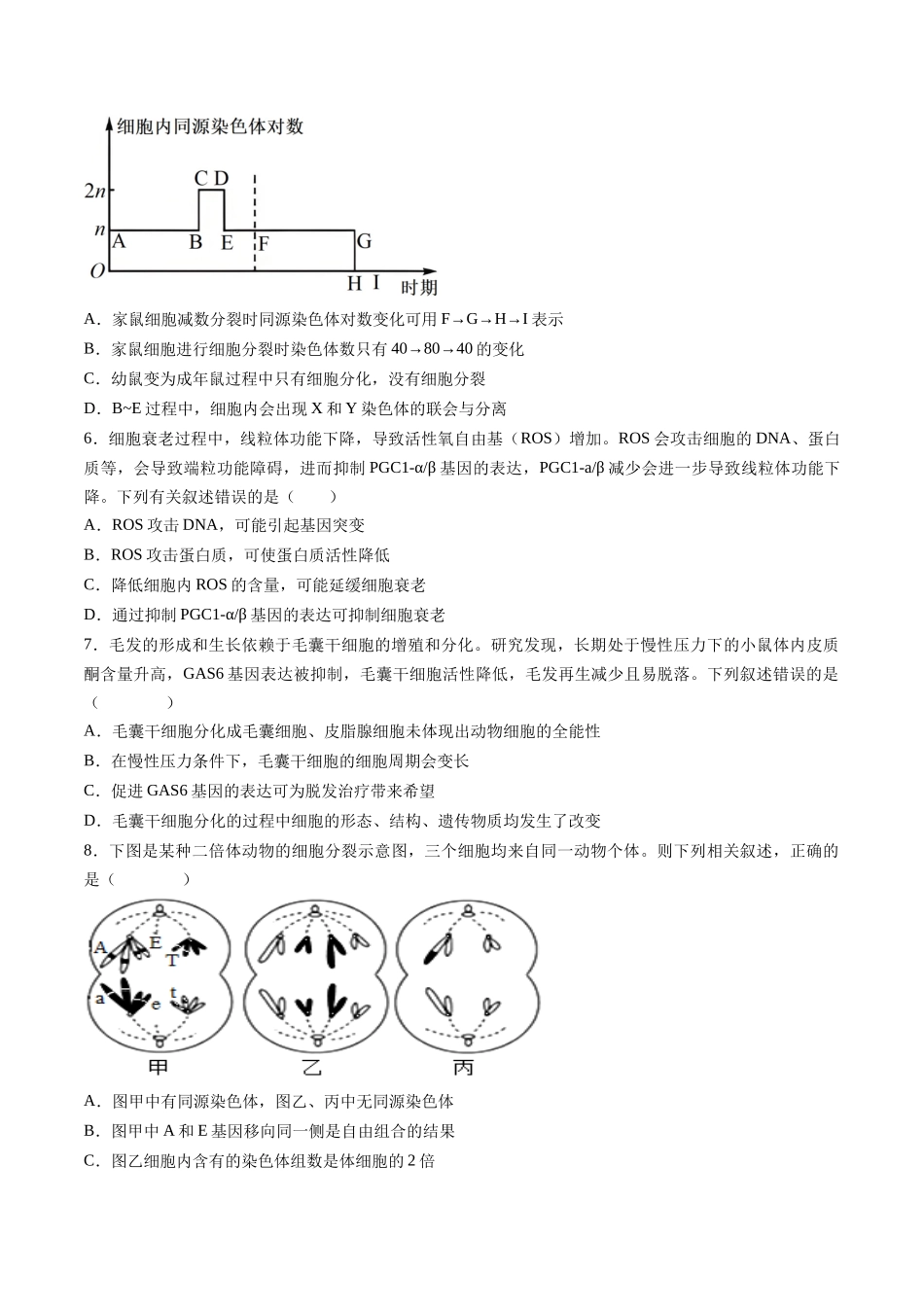 第四单元 细胞的生命历程(综合训练)(湖南专用)(学生版).docx_第2页