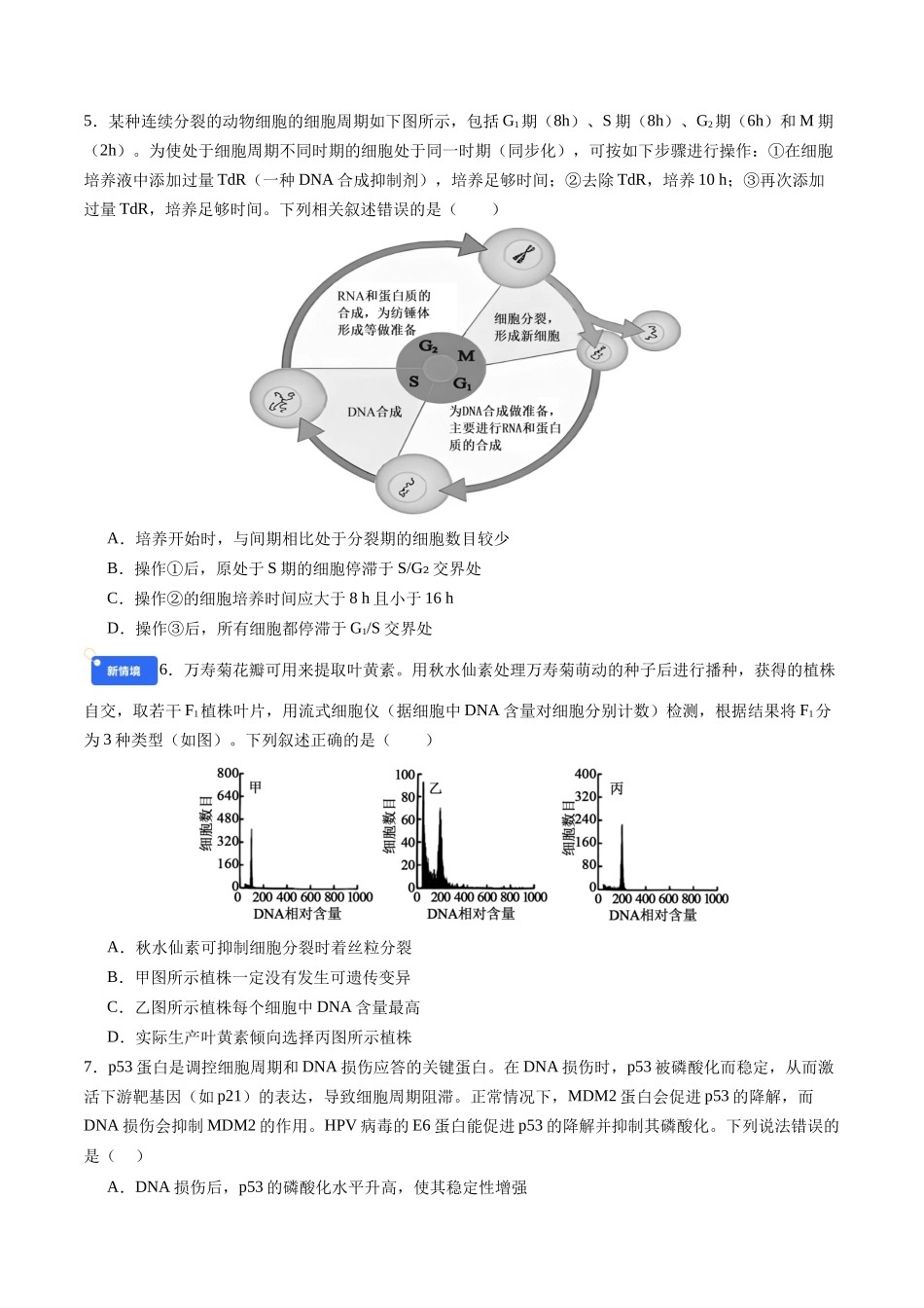 第四单元 细胞的生命历程(综合训练)(四川专用)(学生版).docx_第2页