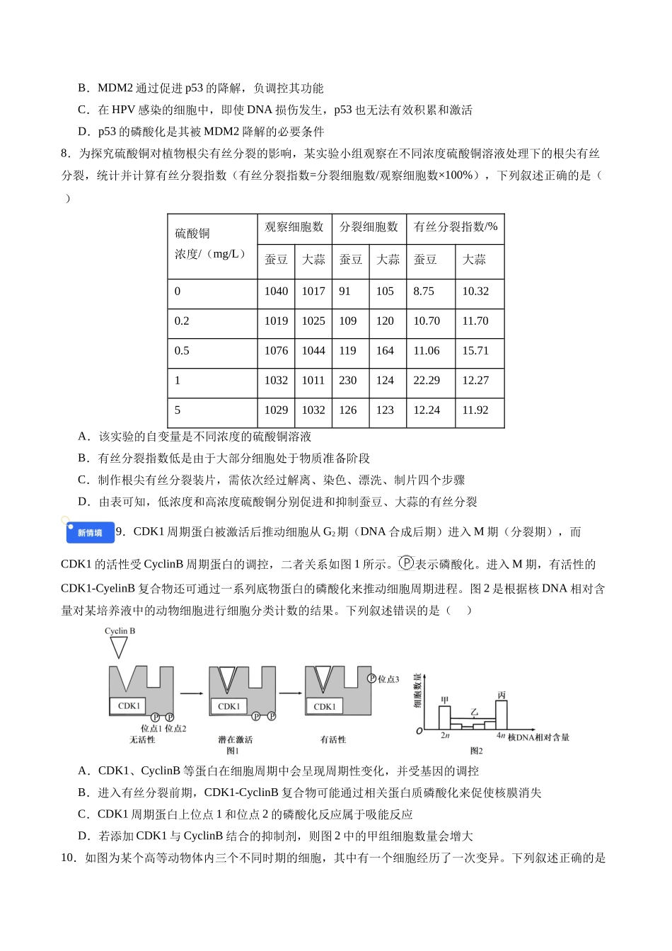 第四单元 细胞的生命历程(综合训练)(四川专用)(学生版).docx_第3页