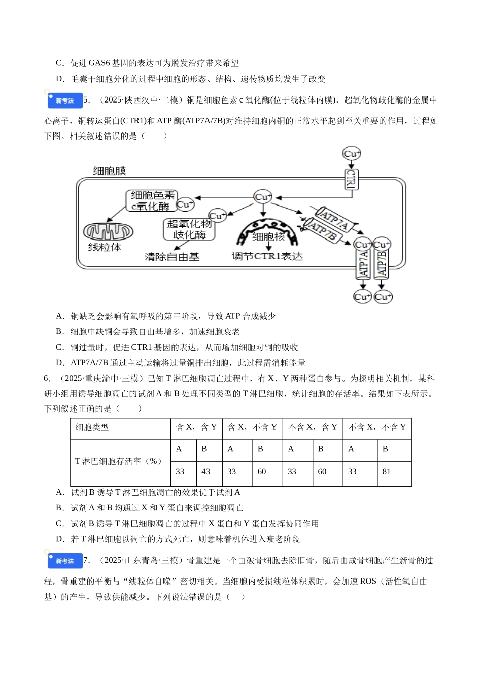 第四单元 细胞的生命历程(综合训练)(学生版)(安徽专用).docx_第2页