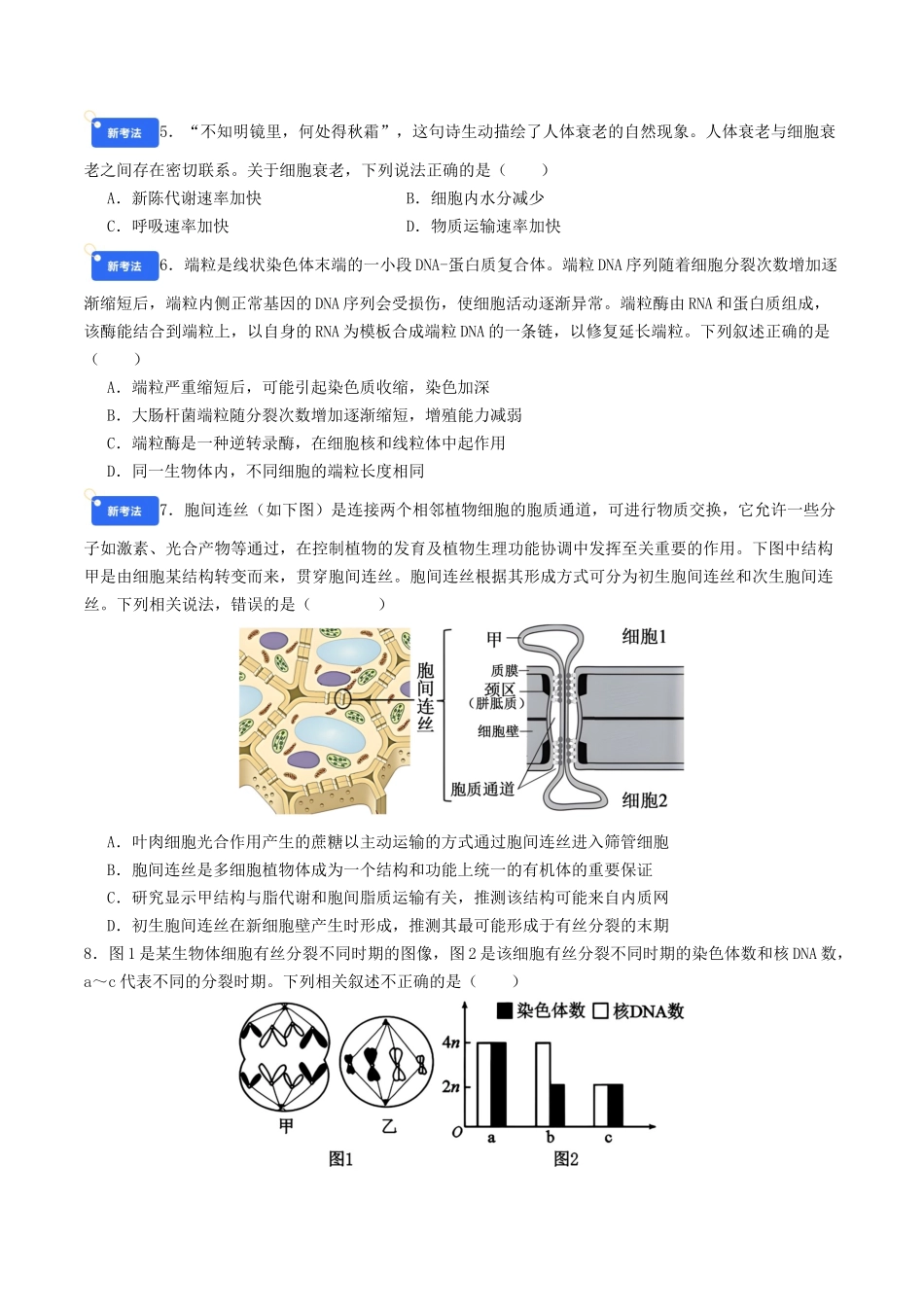 第四单元 细胞的生命历程(综合训练)(学生版)(全国通用).docx_第2页