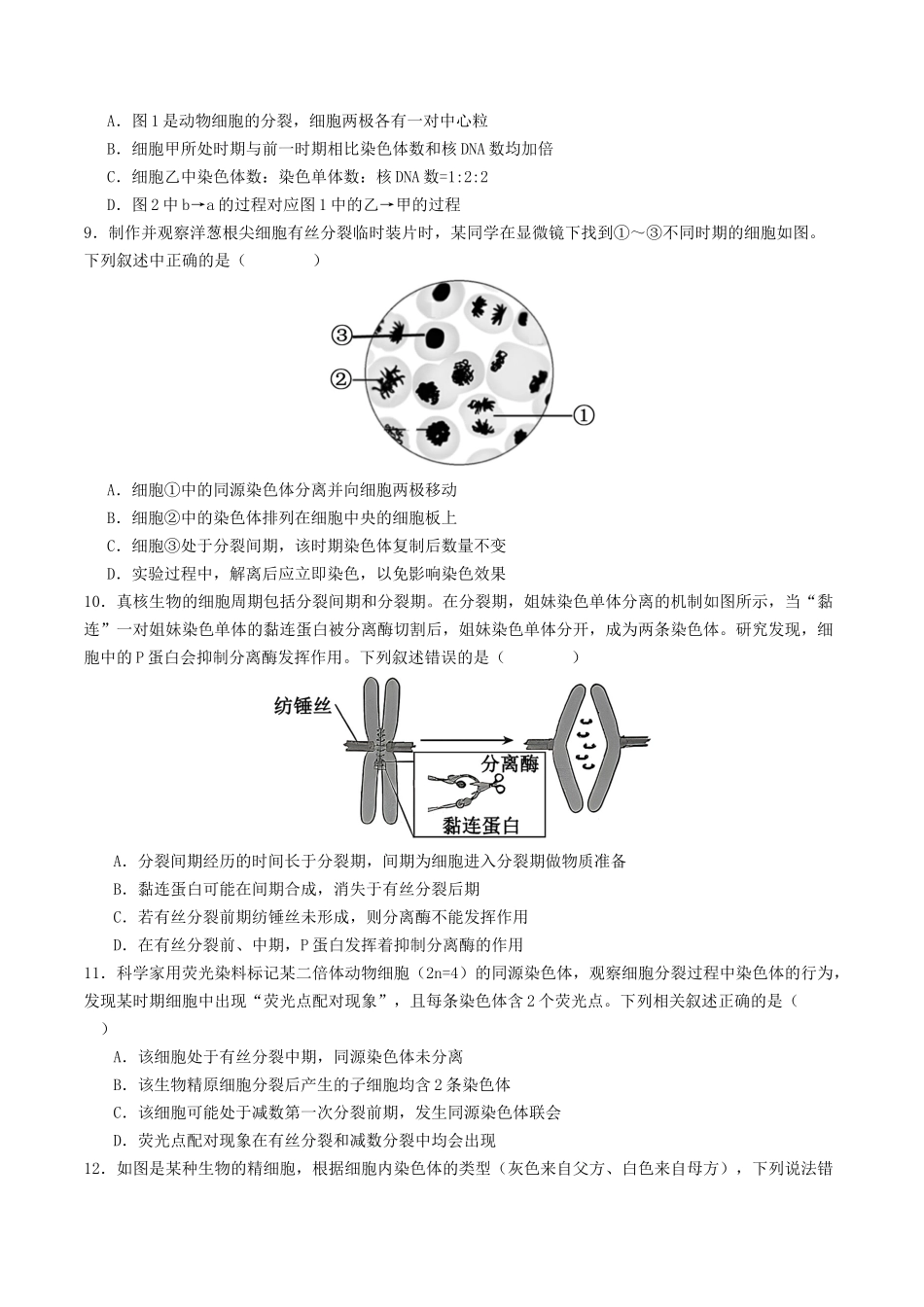 第四单元 细胞的生命历程(综合训练)(学生版)(全国通用).docx_第3页