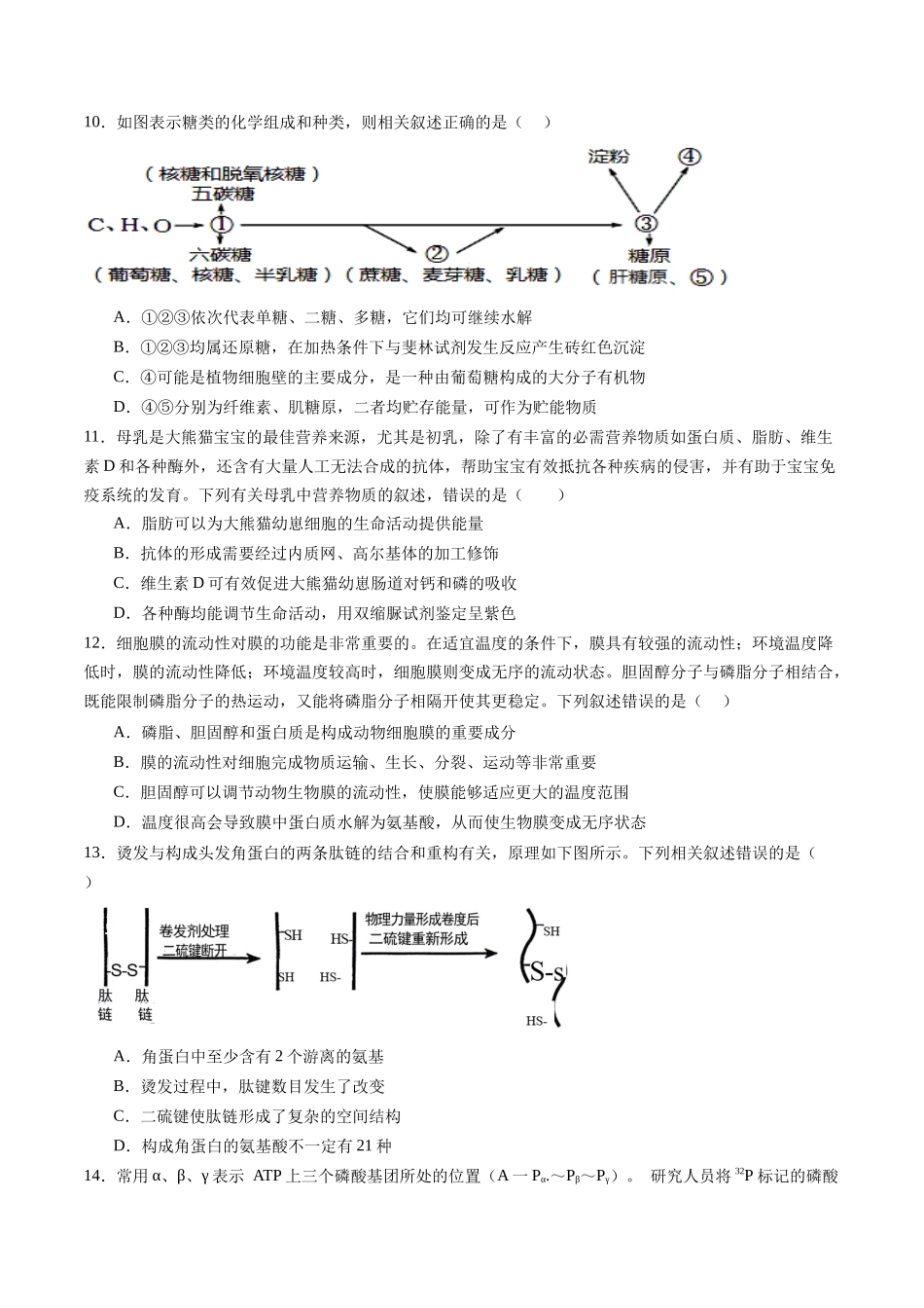 第一单元 细胞的概述及其组成分子(测试)(学生版).docx_第3页