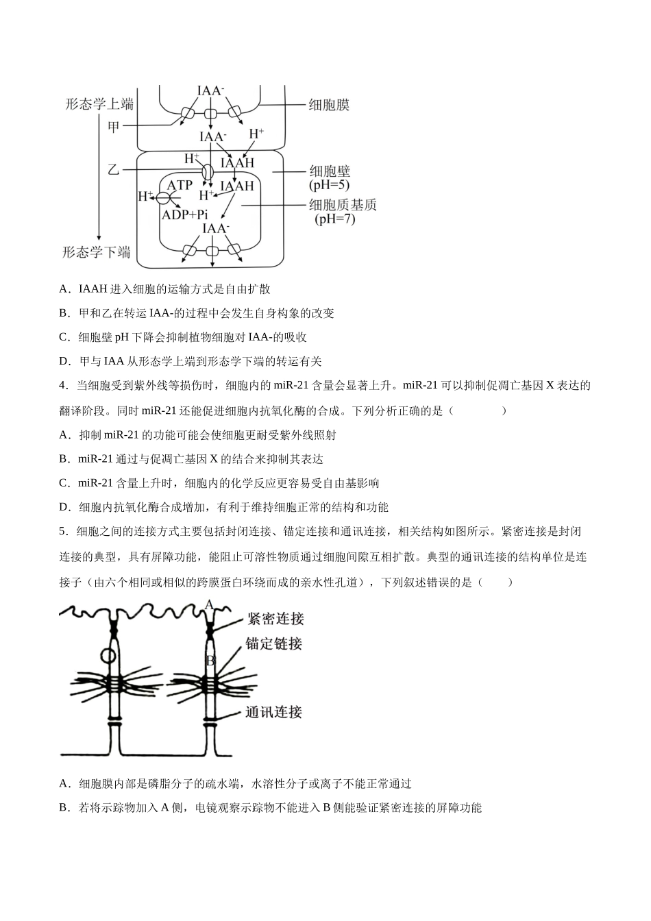 仿真模拟预测卷02（新高考通用）（原卷版）.docx_第2页
