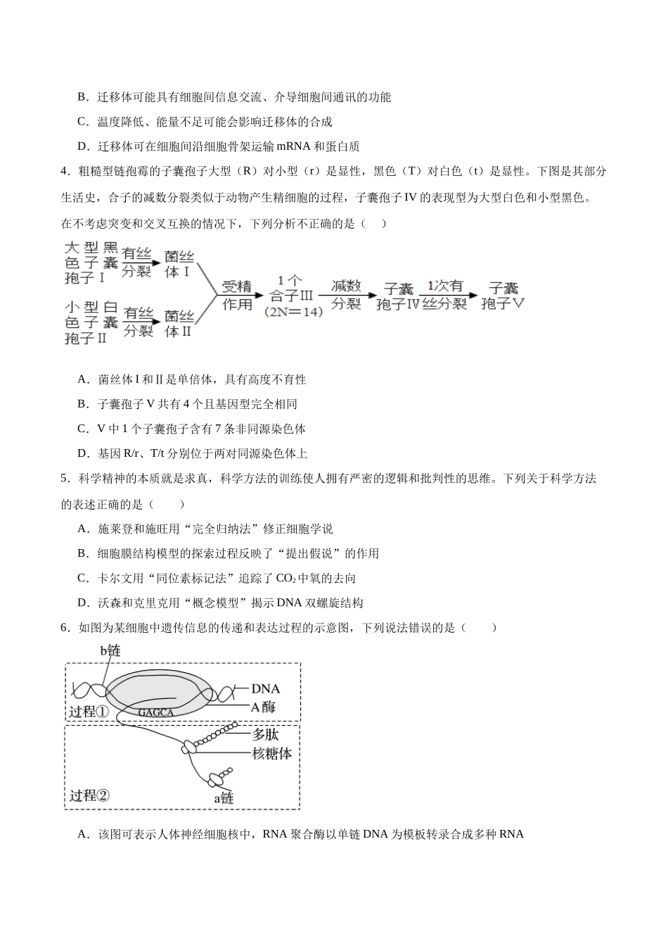高考冲刺模拟试卷(一)(原卷版).docx_第2页