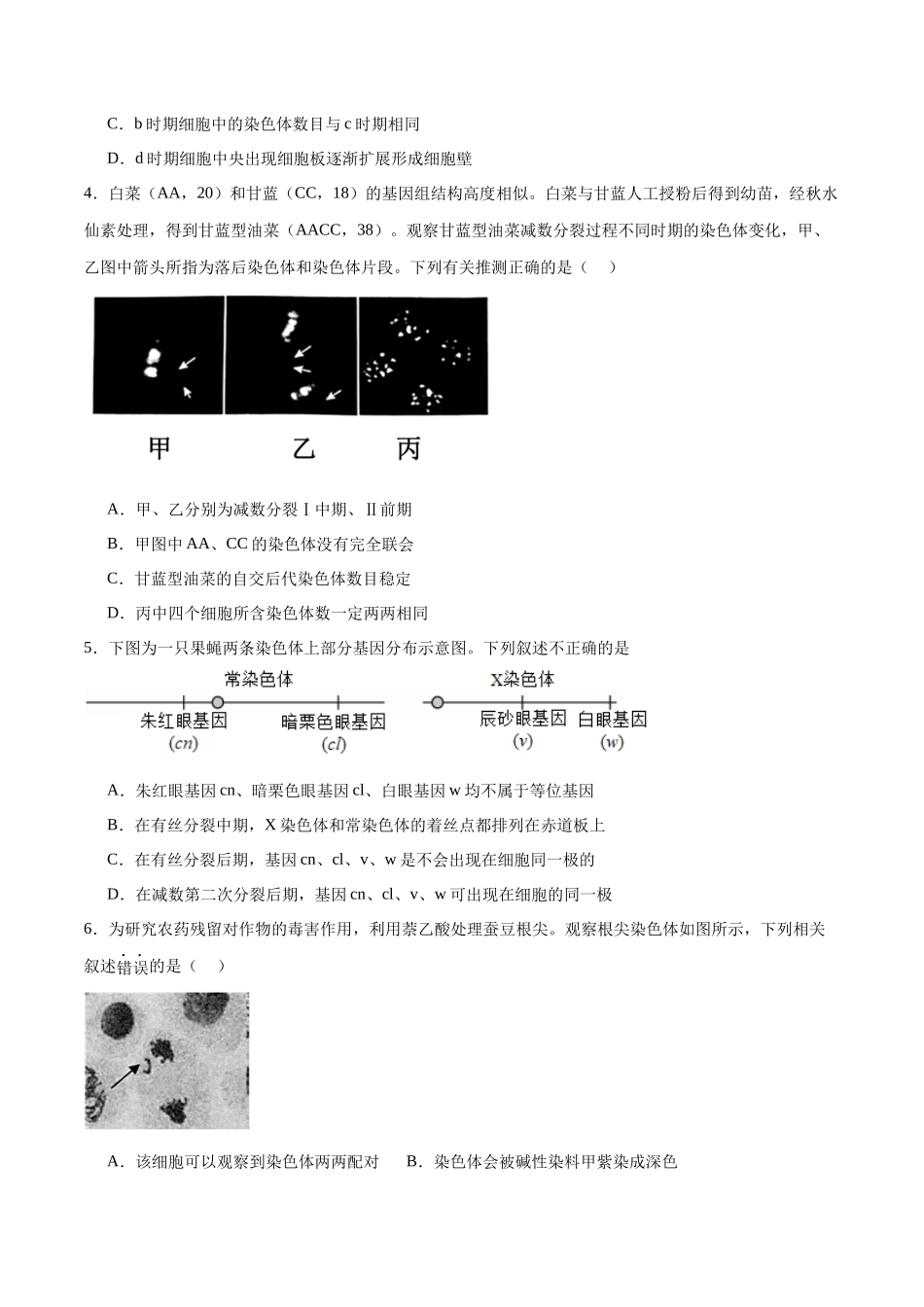 高考冲刺小卷5-遗传的细胞学基础和分子学基础知识点专项练习（原卷版）   .docx_第2页
