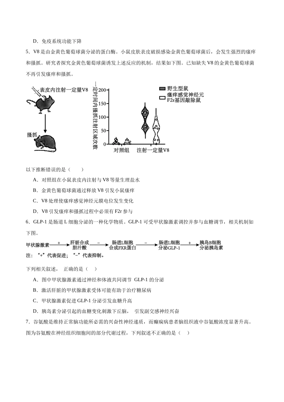 高考冲刺小卷10-神经调节知识点专项练习(原卷版).docx_第2页