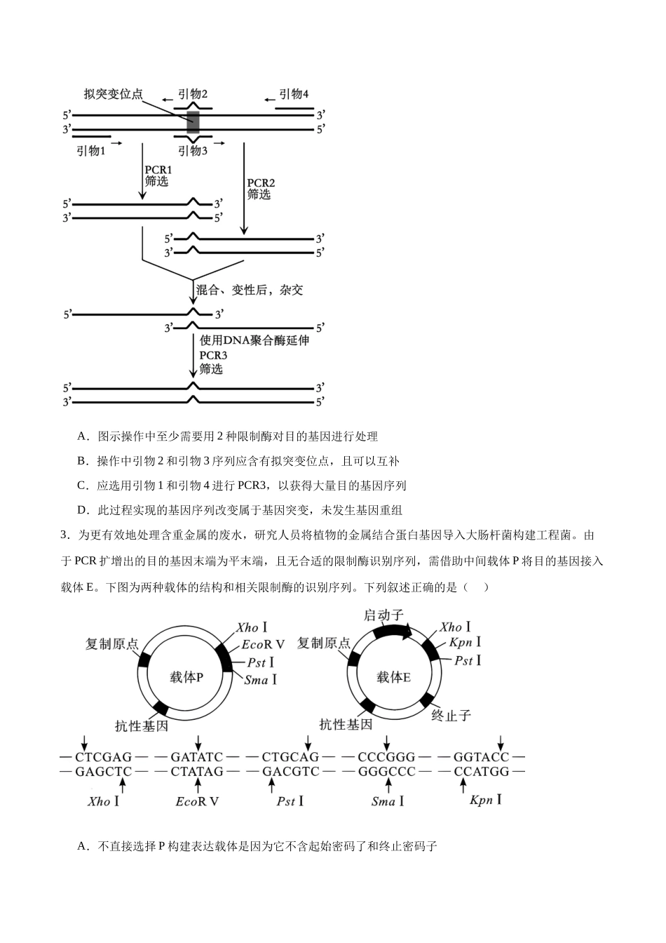 高考冲刺小卷15-基因工程知识点专项练习（原卷版）.docx_第2页