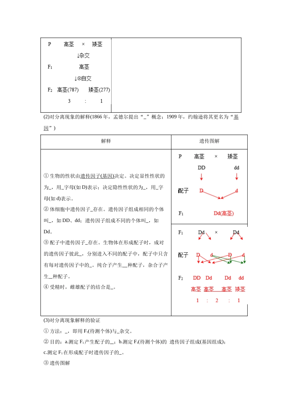高中生物微专题-必修二知识填空-第1章 第1节 孟德尔的豌豆杂交实验(1).docx_第2页