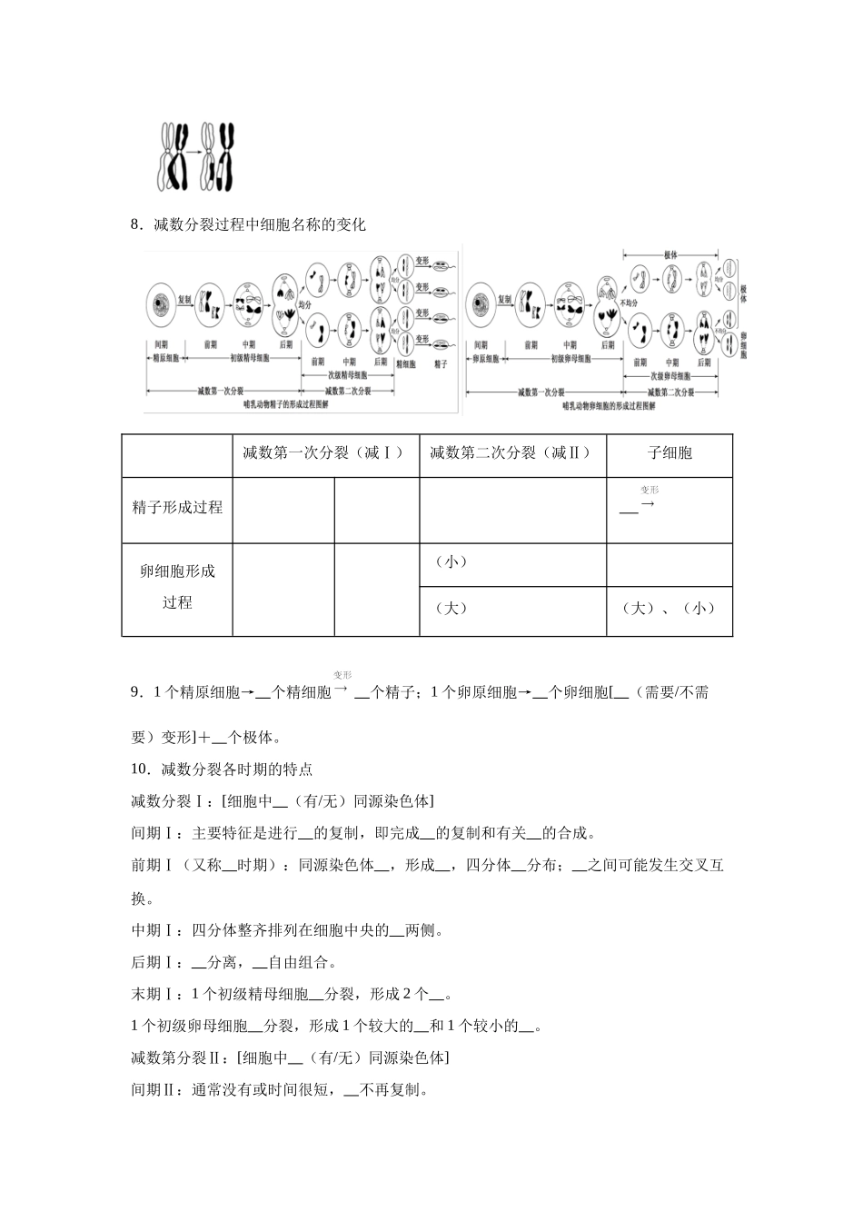 高中生物微专题-必修二知识填空-第2章 第1节 减数分裂和受精作用.docx_第2页