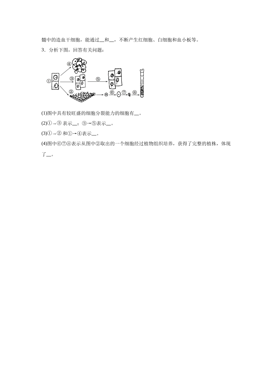 高中生物微专题-必修一知识填空第6章 细第2节 细胞的分化.docx_第2页