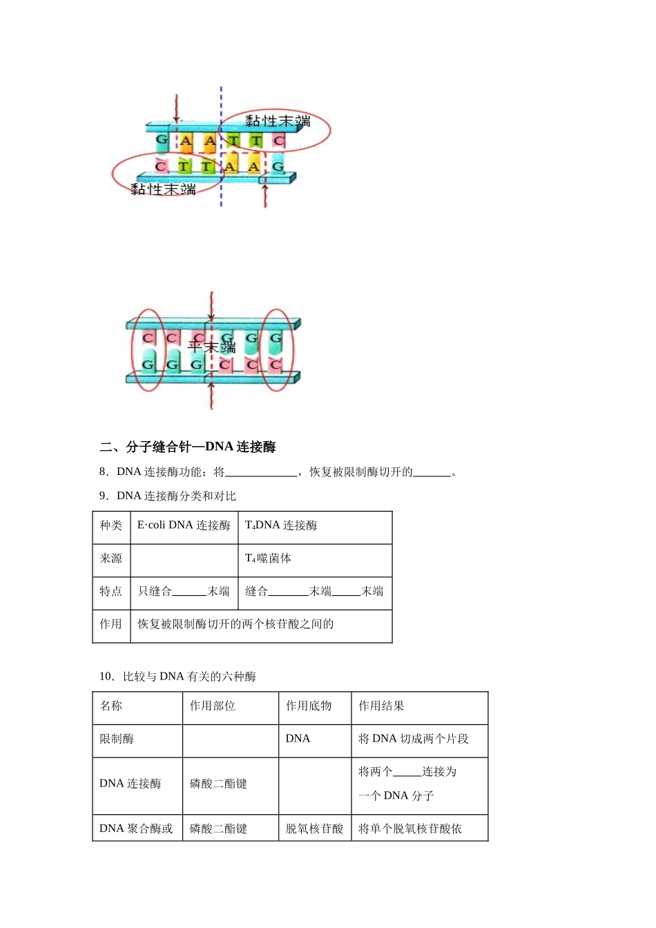 高中生物微专题-选必三知识填空-第3章 第1节 重组DNA技术的基本工具.docx_第2页