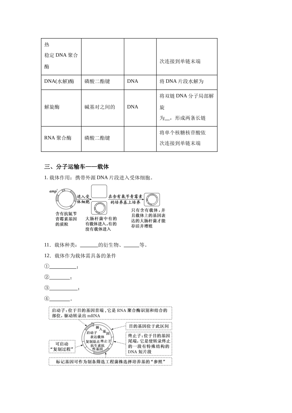 高中生物微专题-选必三知识填空-第3章 第1节 重组DNA技术的基本工具.docx_第3页