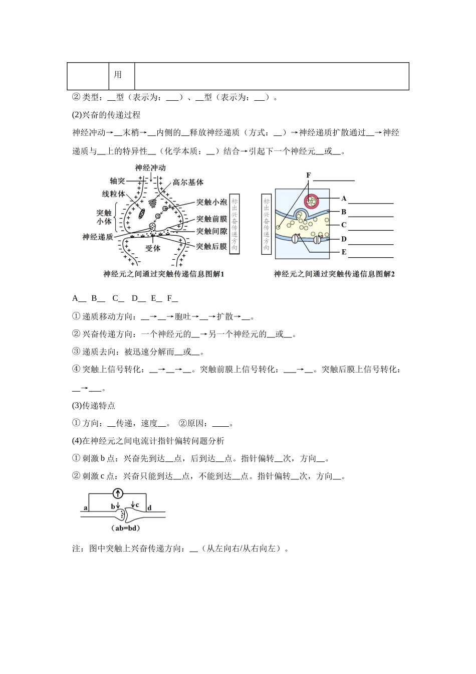 高中生物微专题-选必一知识填空-第2章 第3节 神经冲动的产生和传导.docx_第3页