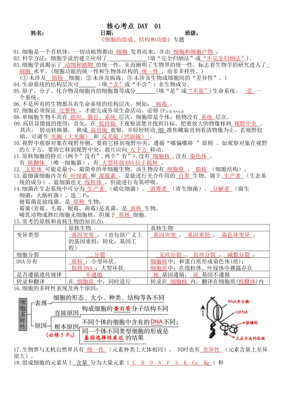 核心考点 DAY 01-细胞的组成、结构 和功能(答案版).docx_第1页