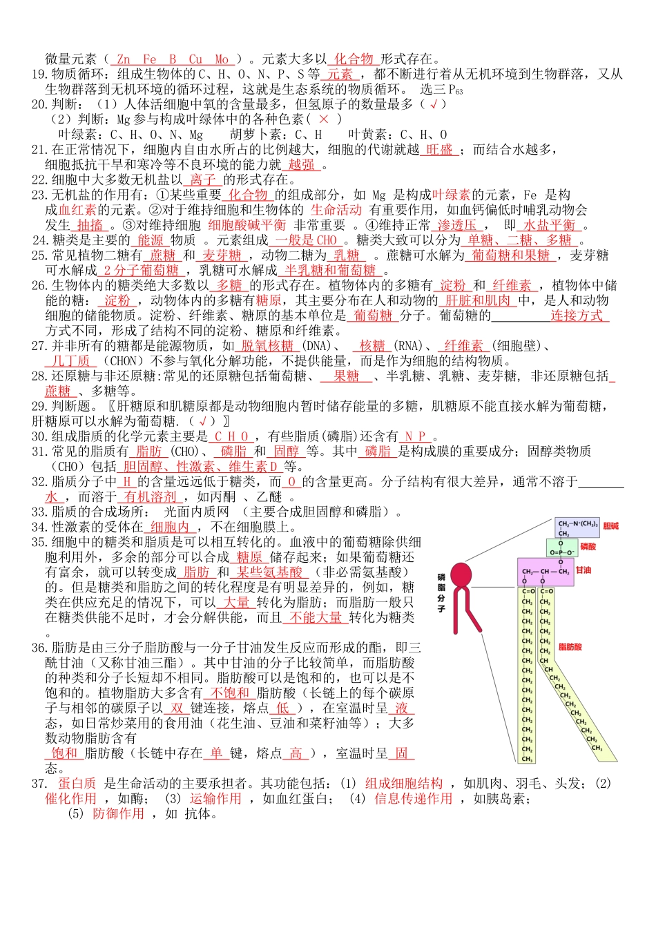 核心考点 DAY 01-细胞的组成、结构 和功能(答案版).docx_第2页