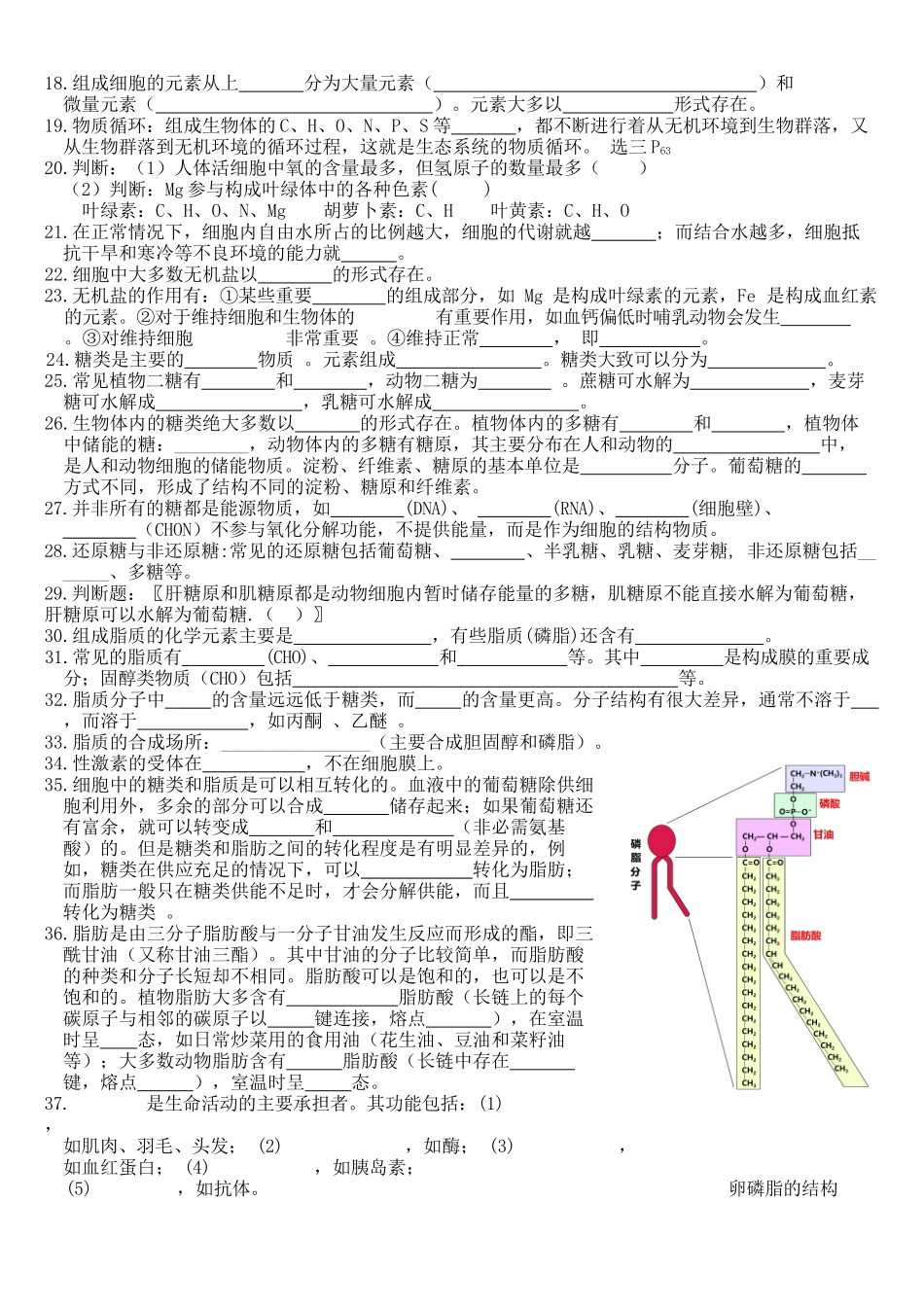 核心考点 DAY 01-细胞的组成、结构 和功能(填空版).docx_第2页