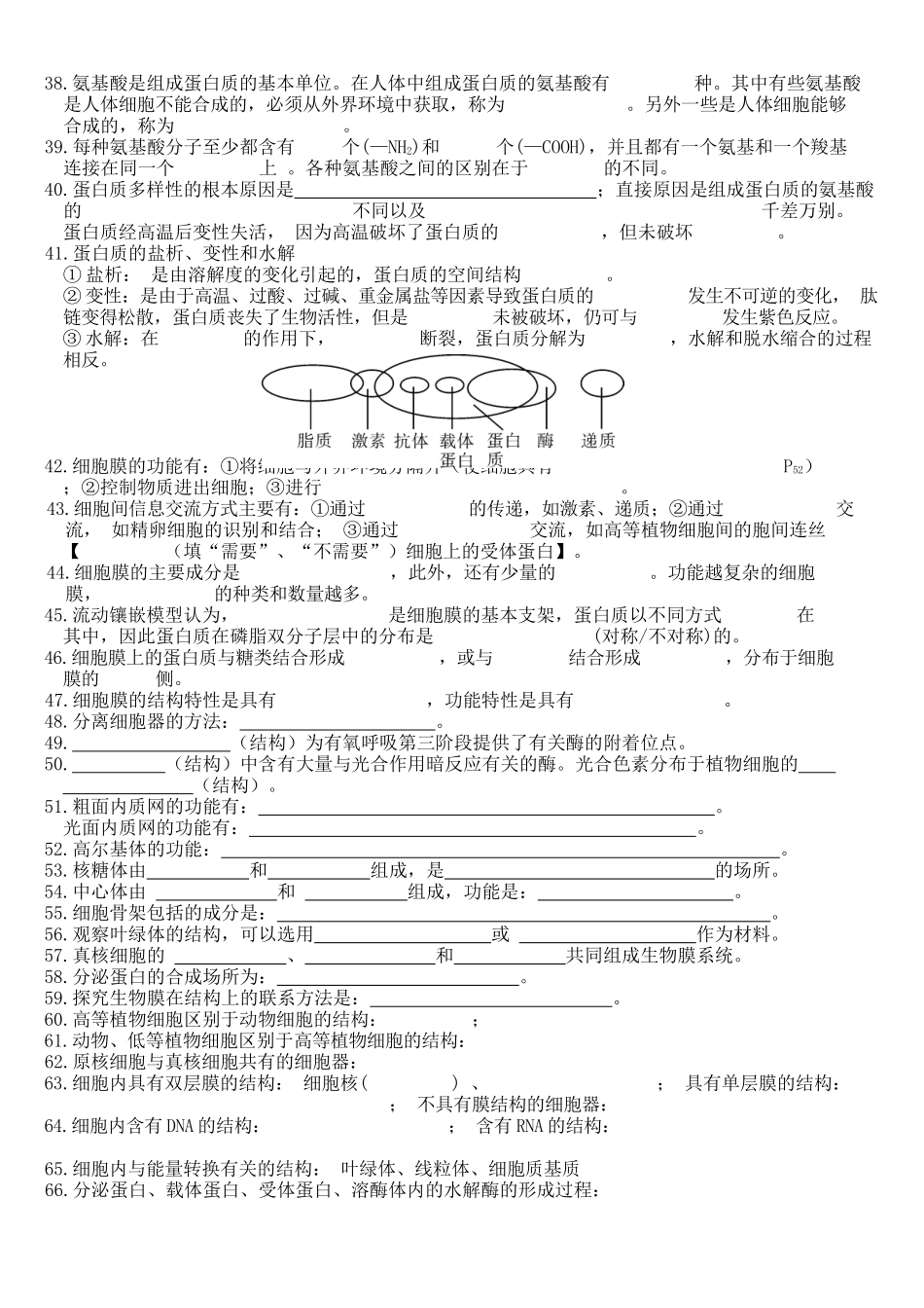 核心考点 DAY 01-细胞的组成、结构 和功能(填空版).docx_第3页