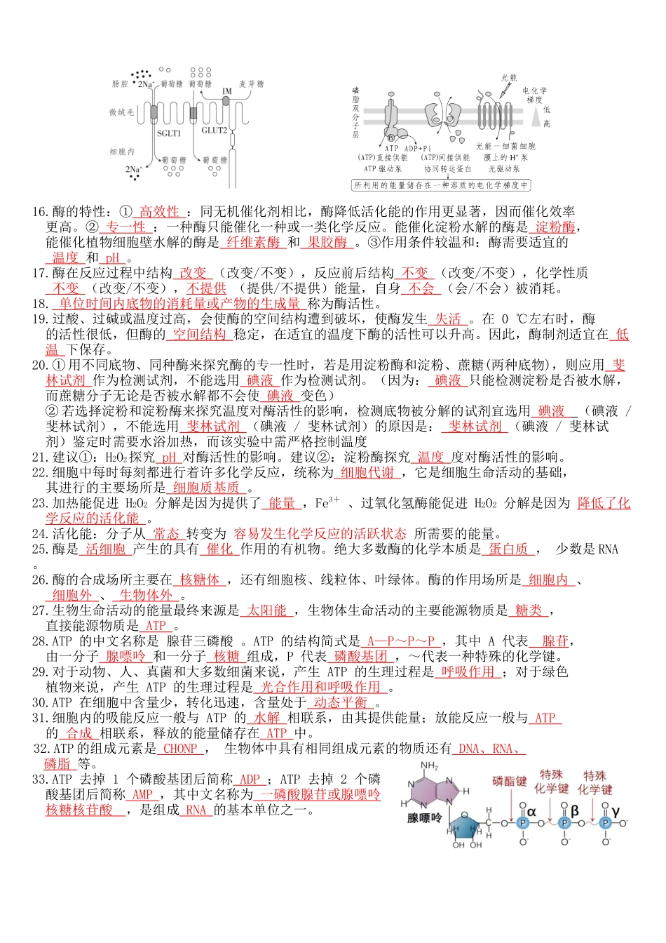 核心考点 DAY 02-细胞代谢(跨膜运输、光合与呼吸)(答案版).docx_第2页