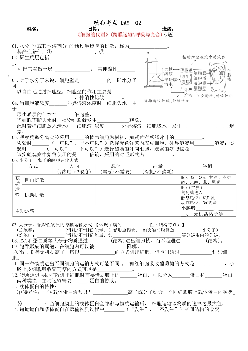 核心考点 DAY 02-细胞代谢(跨膜运输、光合与呼吸)(填空版).docx_第1页