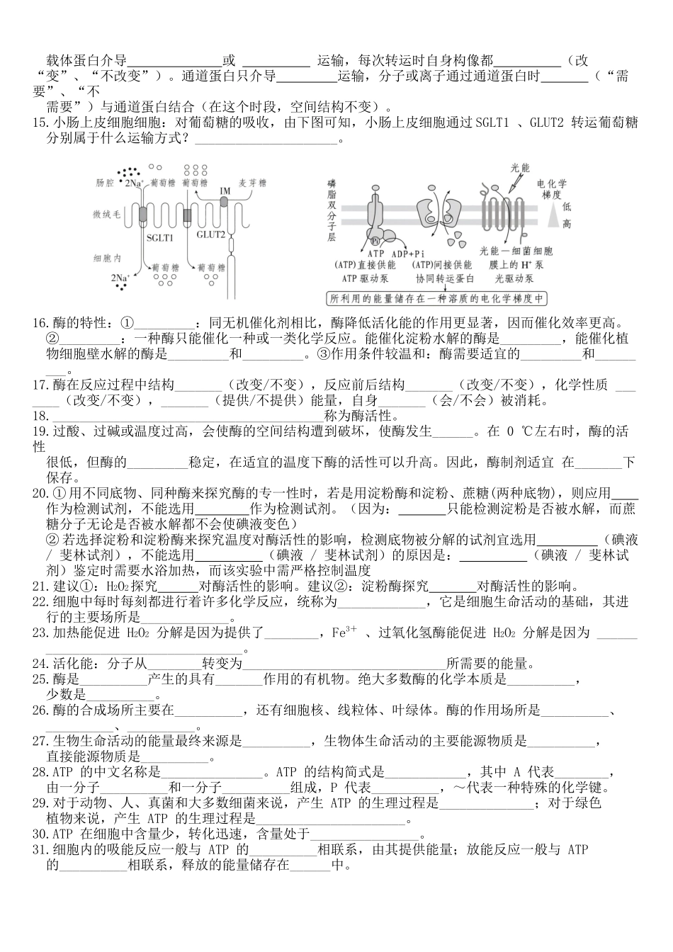 核心考点 DAY 02-细胞代谢(跨膜运输、光合与呼吸)(填空版).docx_第2页
