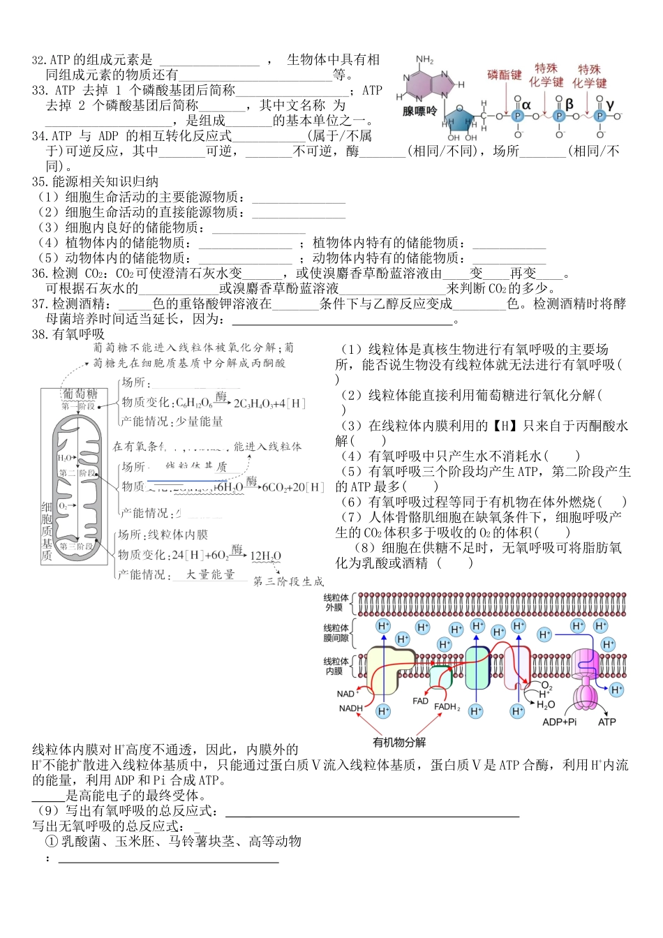 核心考点 DAY 02-细胞代谢(跨膜运输、光合与呼吸)(填空版).docx_第3页