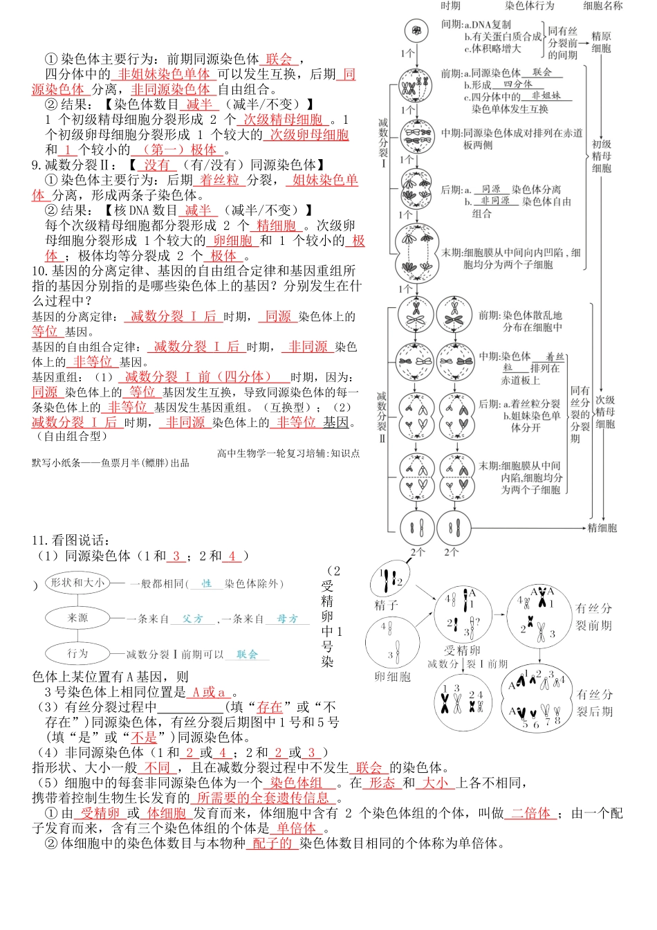 核心考点 DAY 03 细胞的生命历程和细胞癌变(答案版).docx_第2页
