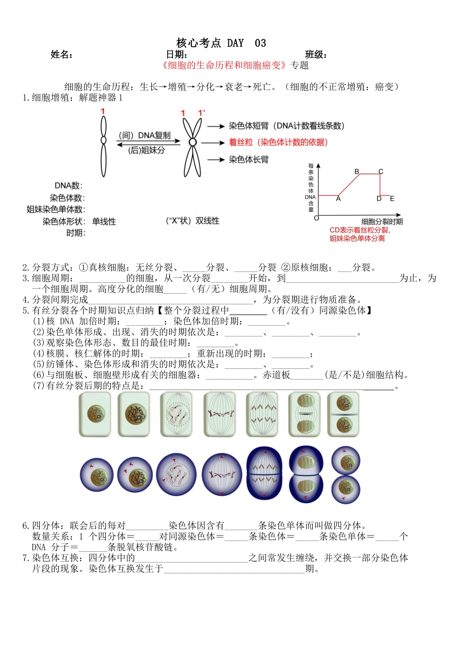 核心考点 DAY  03 细胞的生命历程和细胞癌变(填空版).docx_第1页