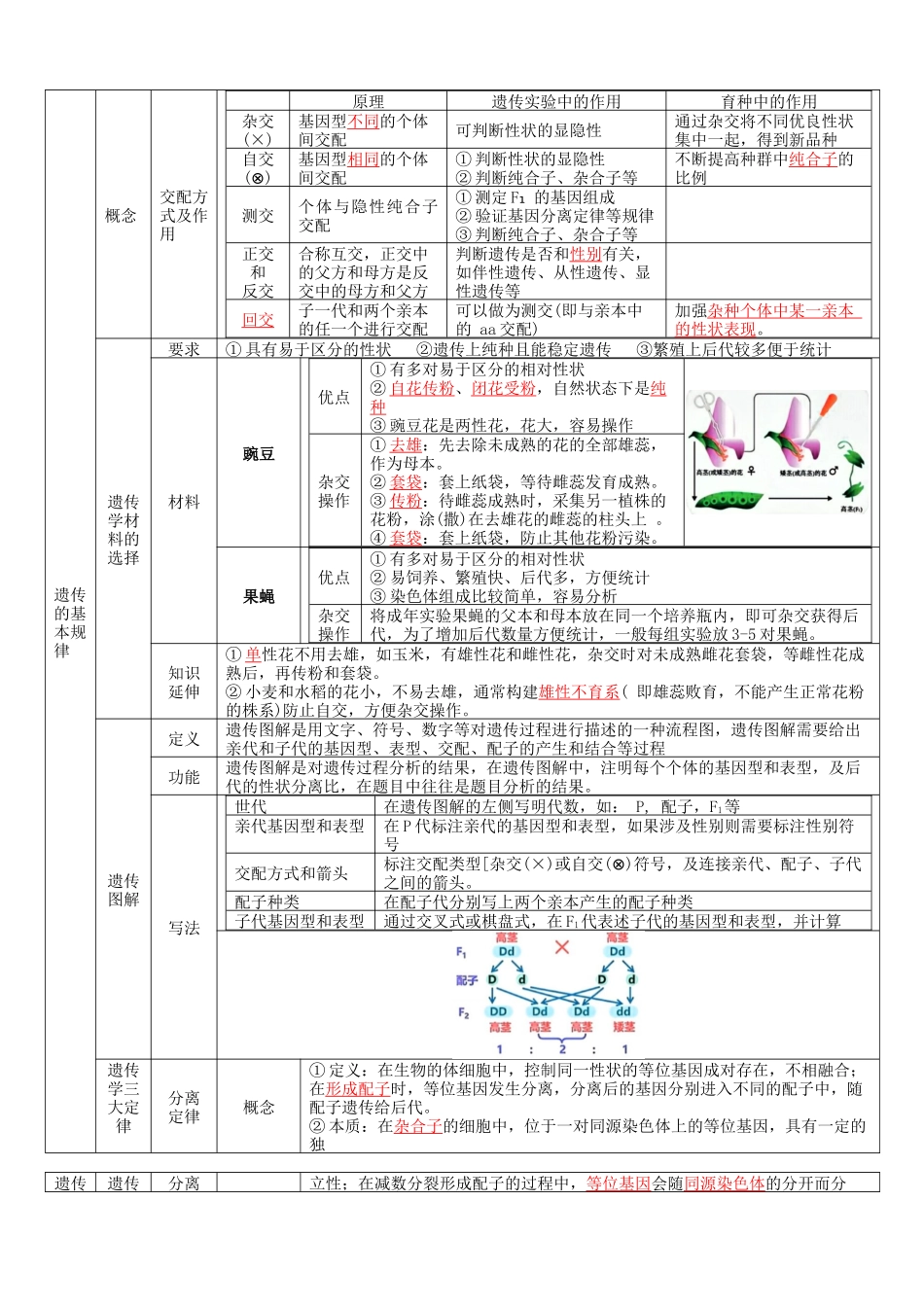 核心考点 DAY 04-遗传和进化(答案版).docx_第2页