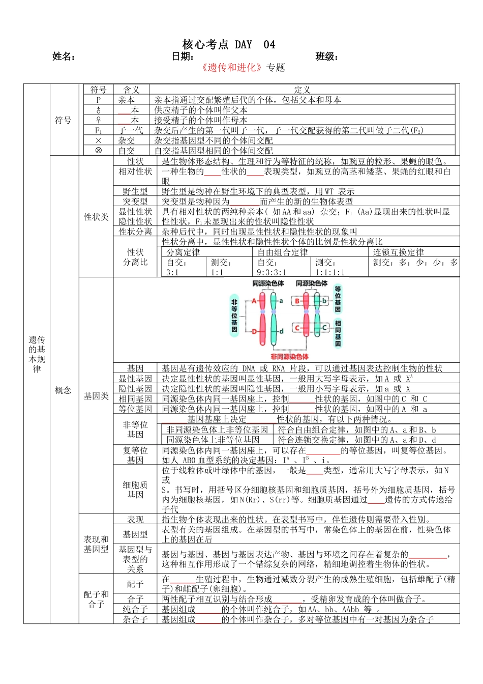 核心考点 DAY  04-遗传和进化（填空版）.docx_第1页