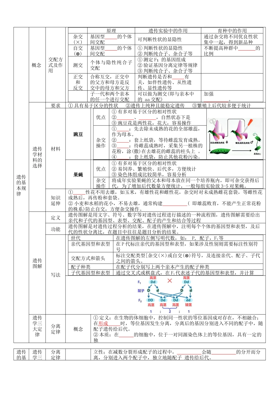 核心考点 DAY  04-遗传和进化（填空版）.docx_第2页