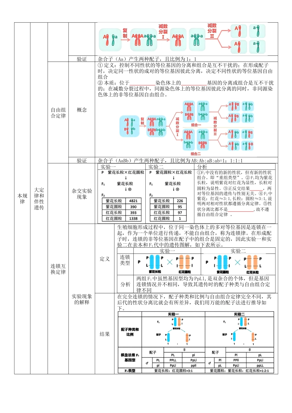 核心考点 DAY  04-遗传和进化（填空版）.docx_第3页