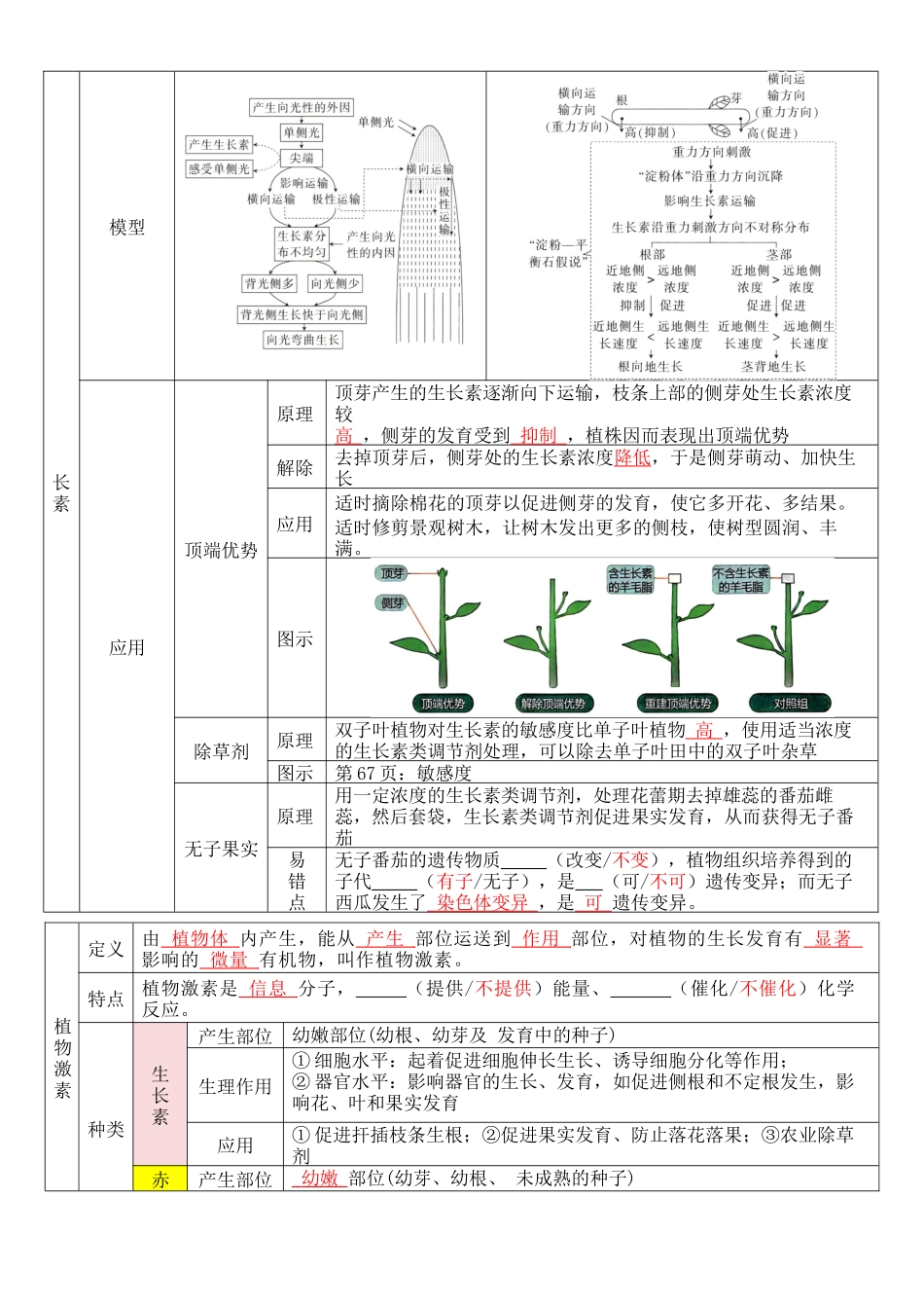 核心考点 DAY 05 人体生命活动的调节(答案版).docx_第2页