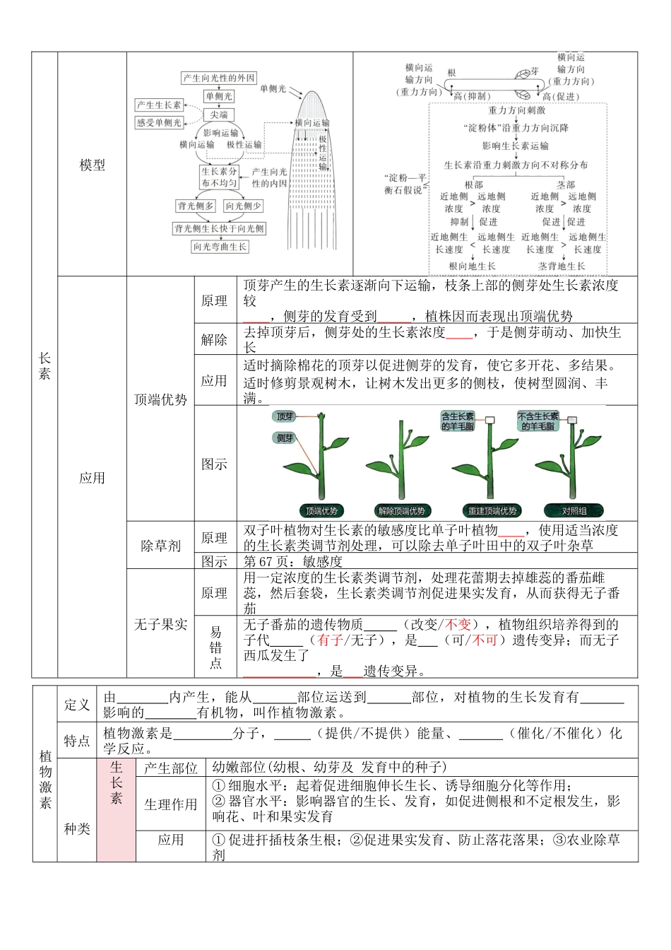核心考点 DAY 05 人体生命活动的调节(填空版).docx_第2页