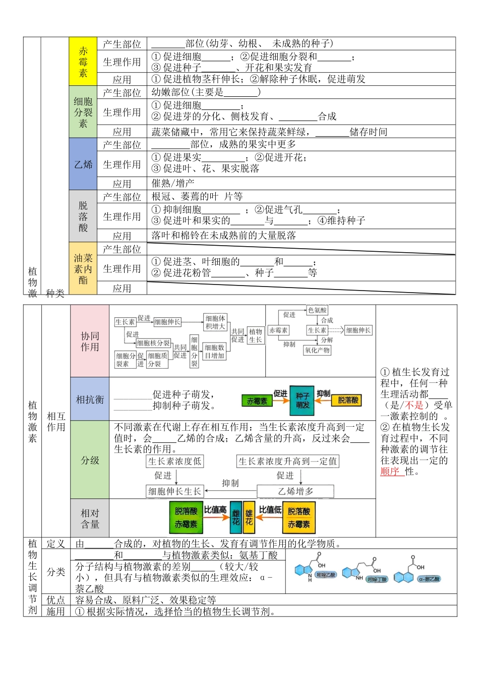 核心考点 DAY 05 人体生命活动的调节(填空版).docx_第3页