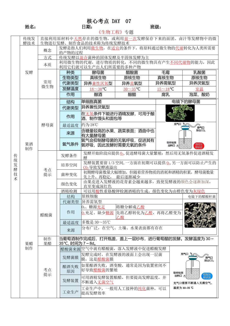 核心考点 DAY 07-生物技术与工程(答案版).docx_第1页