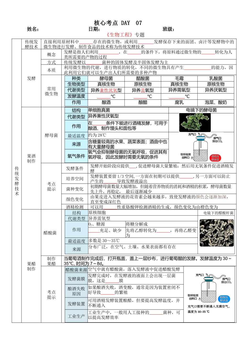 核心考点 DAY 07-生物技术与工程(填空版).docx_第1页