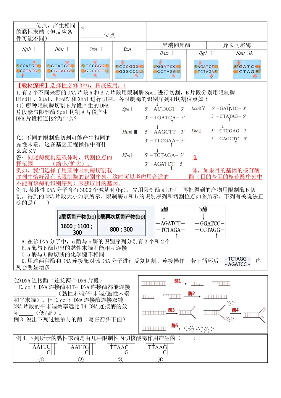核心考点 DAY 08-基因工程-1(填空版).docx_第3页