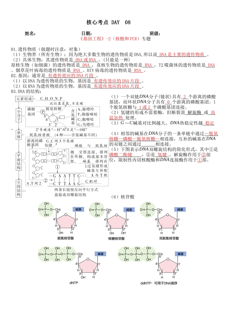 核心考点 DAY 08-基因工程-2核酸和PCR(答案版).docx_第1页