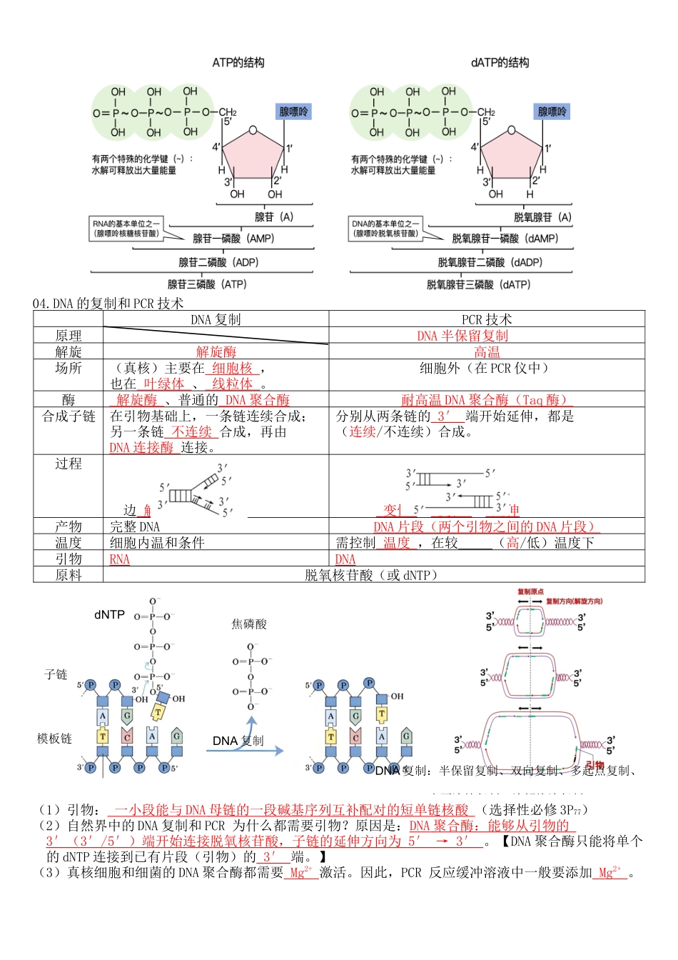 核心考点 DAY 08-基因工程-2核酸和PCR(答案版).docx_第2页