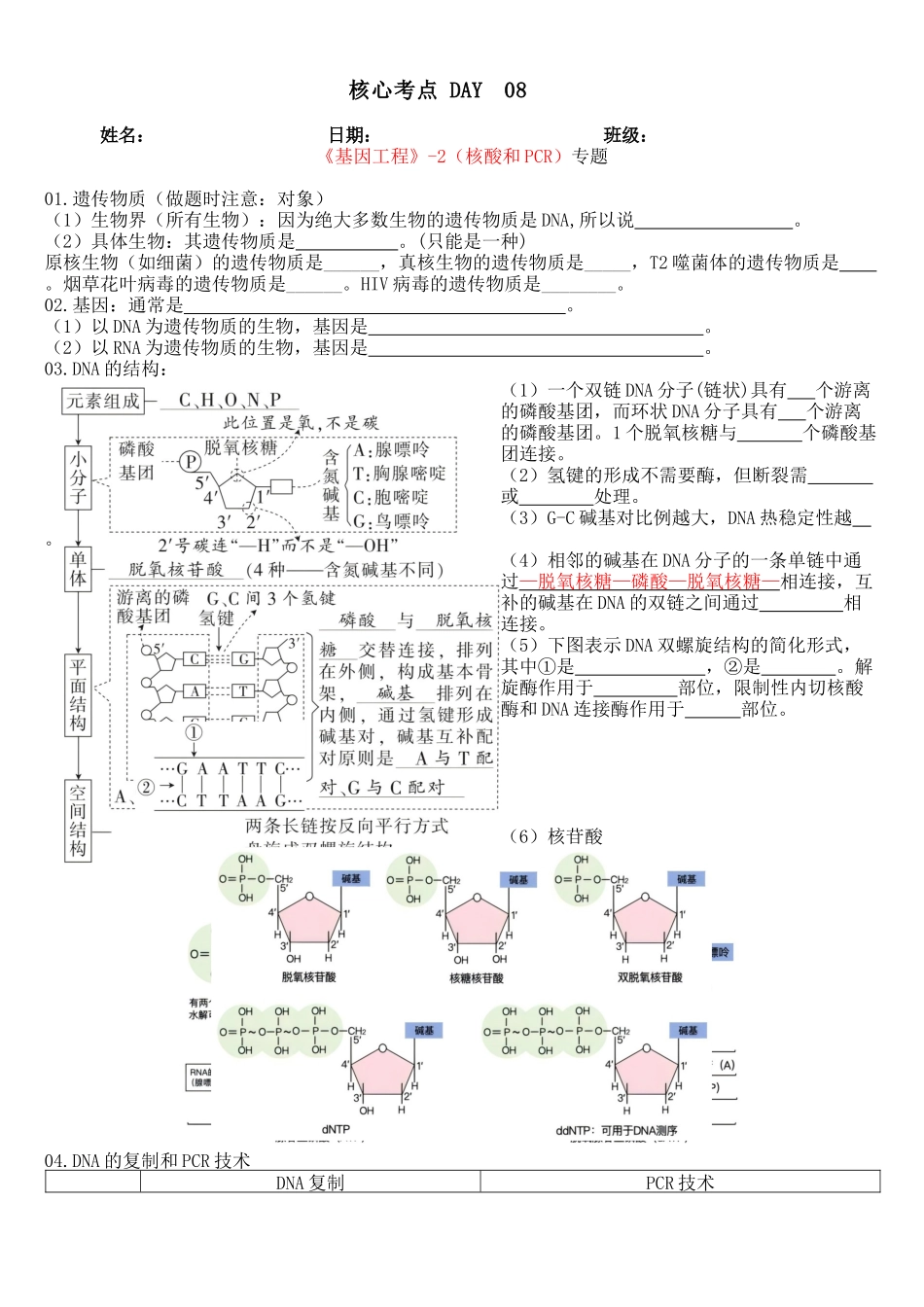 核心考点 DAY 08-基因工程-2核酸和PCR(填空版).docx_第1页