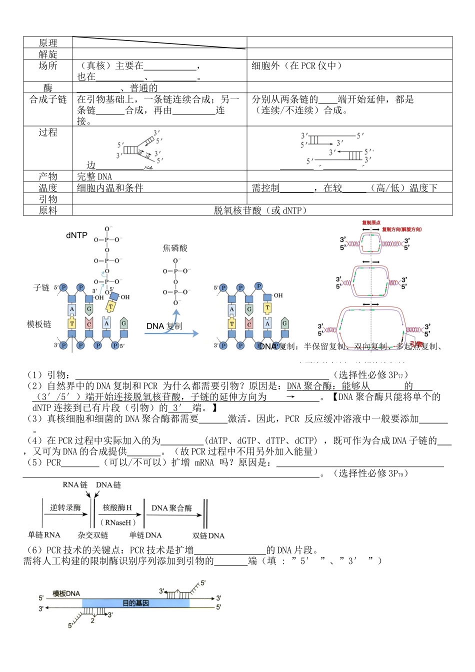 核心考点 DAY 08-基因工程-2核酸和PCR(填空版).docx_第2页