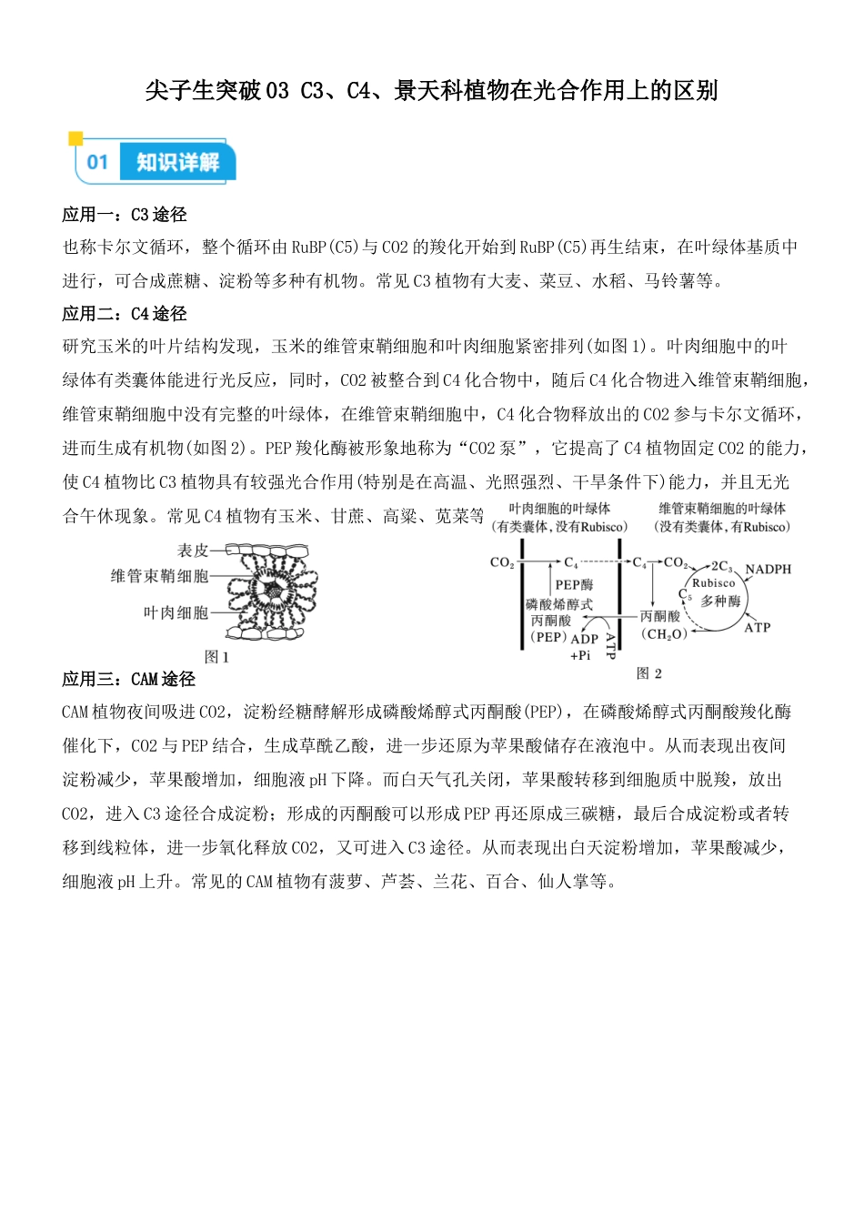 尖子生突破03 C3、C4、景天科植物在光合作用上的区别(原卷版).docx_第1页