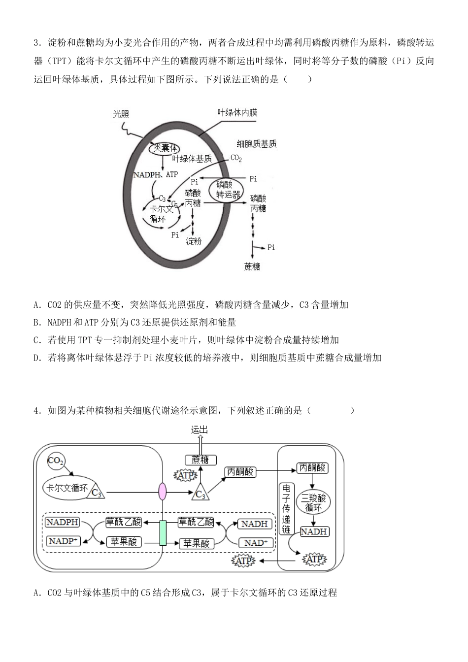 尖子生突破03 C3、C4、景天科植物在光合作用上的区别(原卷版).docx_第3页